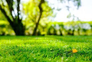 miniature