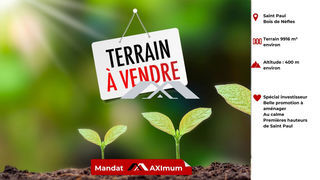miniature