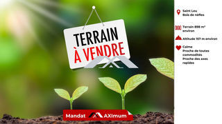 miniature