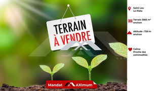 miniature