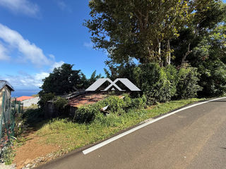 miniature