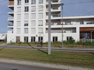 miniature