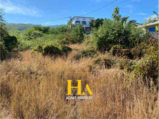miniature