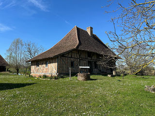 miniature