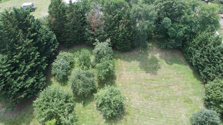 miniature