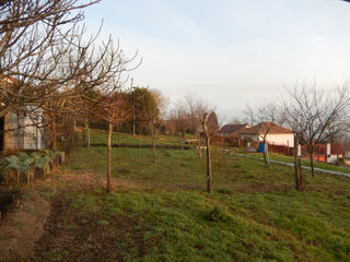 miniature