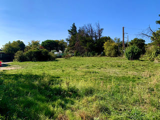 miniature