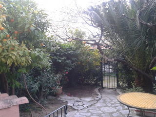 miniature