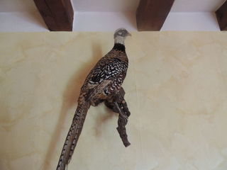 miniature
