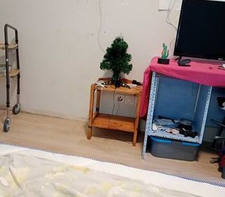 miniature