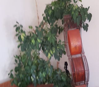 miniature