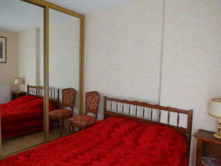 miniature