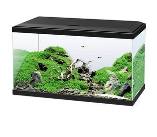 miniature