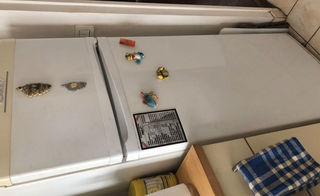 miniature