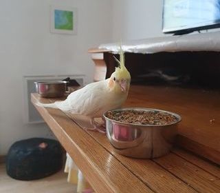 miniature