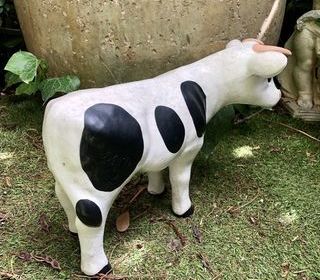 miniature