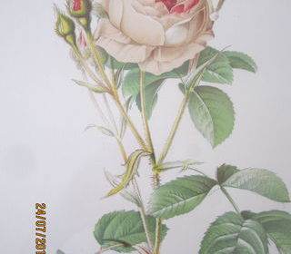 miniature