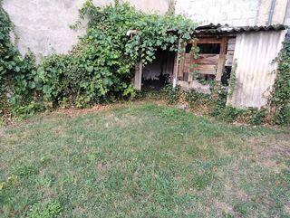 miniature