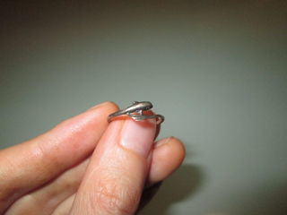 miniature