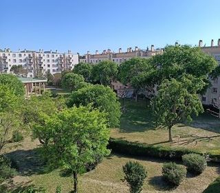 miniature