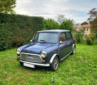 miniature