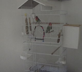 miniature
