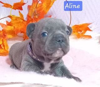 miniature