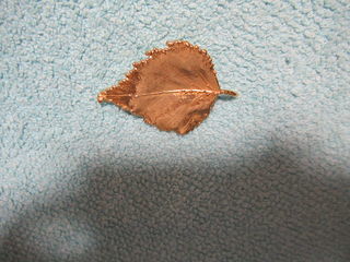 miniature