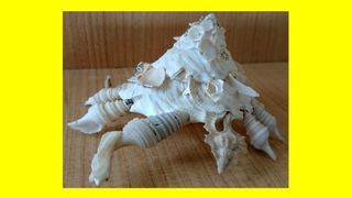 miniature