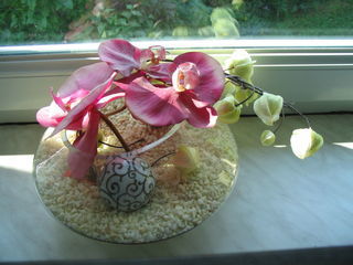 miniature