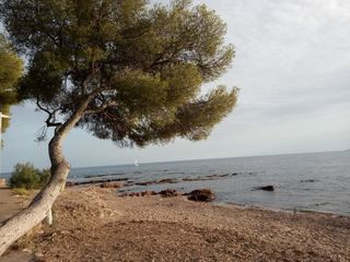 miniature