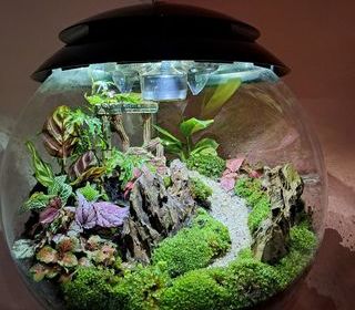 miniature