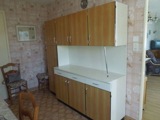 miniature