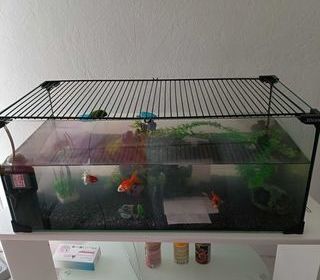 miniature