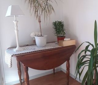 miniature