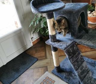 miniature