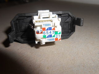 miniature