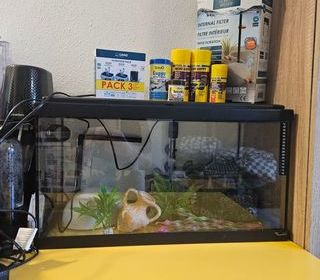 miniature