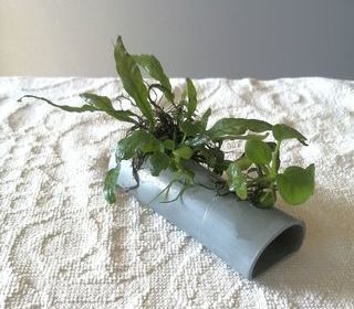 miniature