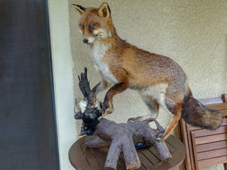 miniature