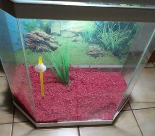 miniature