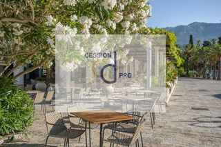miniature