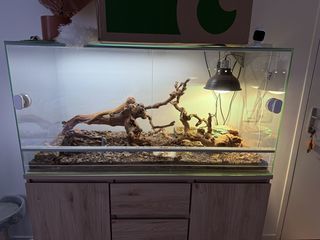 miniature