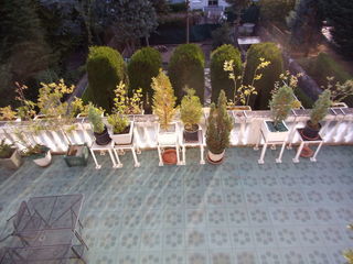 miniature