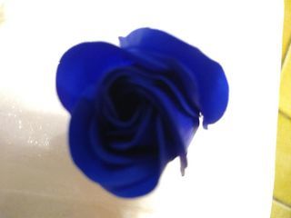miniature