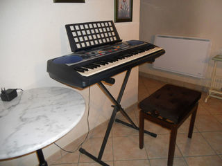 miniature