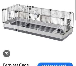 miniature