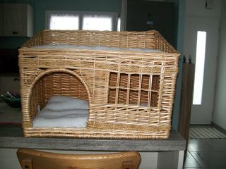 miniature