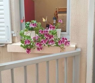 miniature