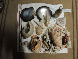 miniature